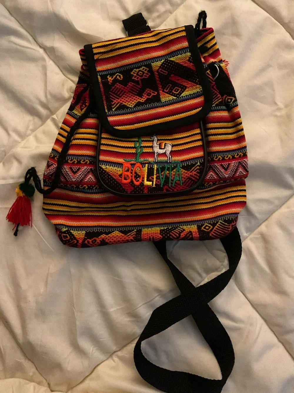 Bolivia Embroidered Multicolor Women's Mini Backpack
